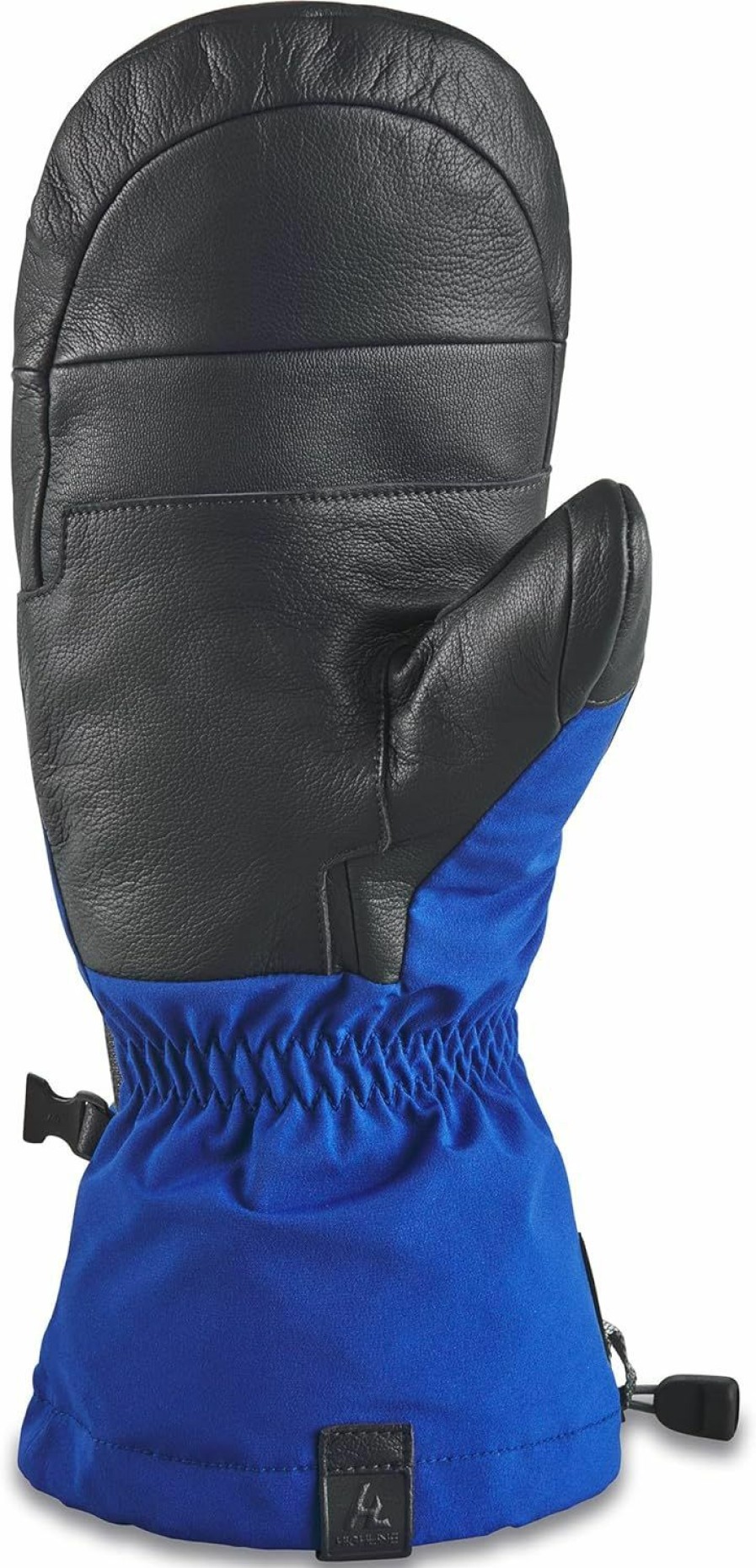 Dakine Dakine Men'S Phoenix Gore-Tex Mitt Online