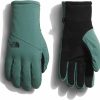 THE NORTH FACE The North Face Women'S Shelbe Raschel Etip Glove Best