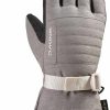 Dakine Dakine Women'S Omni Gore-Tex Glove Best