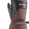 Dakine Dakine Excursion Gore-Tex Mitt - Women'S Best