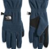 THE NORTH FACE The North Face Etip Heavyweight Fleece Glove Shady Blue, M New